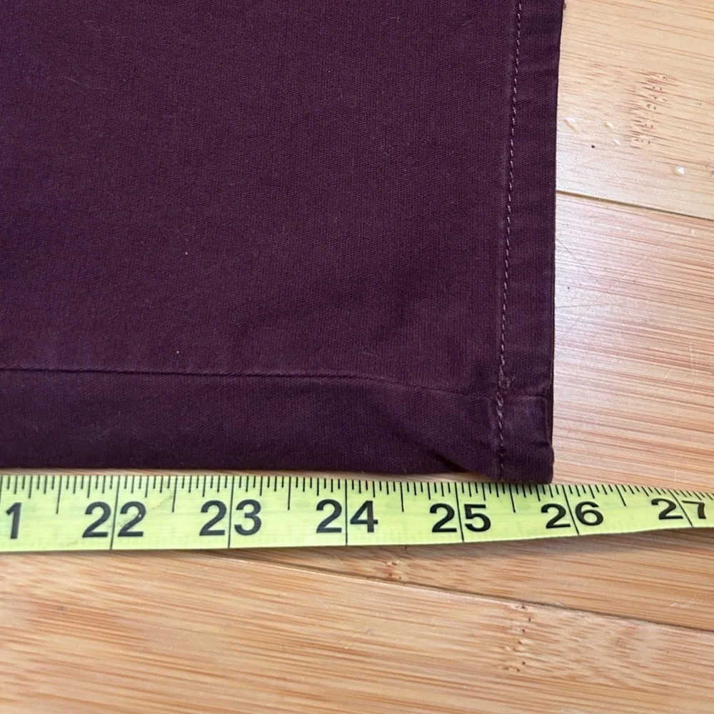 The North Face Dark Purple Ankle Chino Pants size Women’s 2